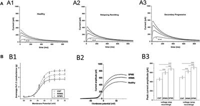 Kv1.3 Channel Up-Regulation in Peripheral Blood T Lymphocytes of Patients With Multiple Sclerosis